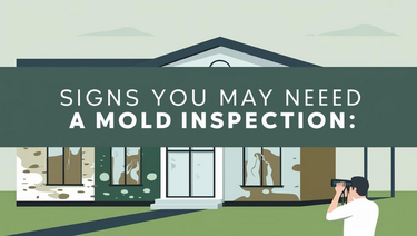 Signs You May Need a Mold Inspection | List FSBO Free